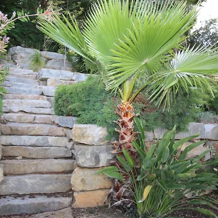 Villa Pinetree Seaside, Albufeira *